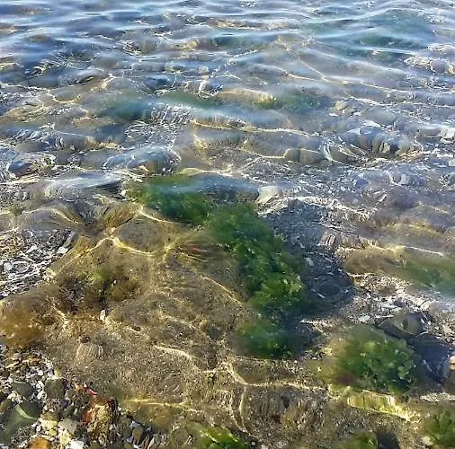 Апартаменты изгрев